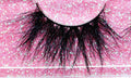 Shadow Play strip lash