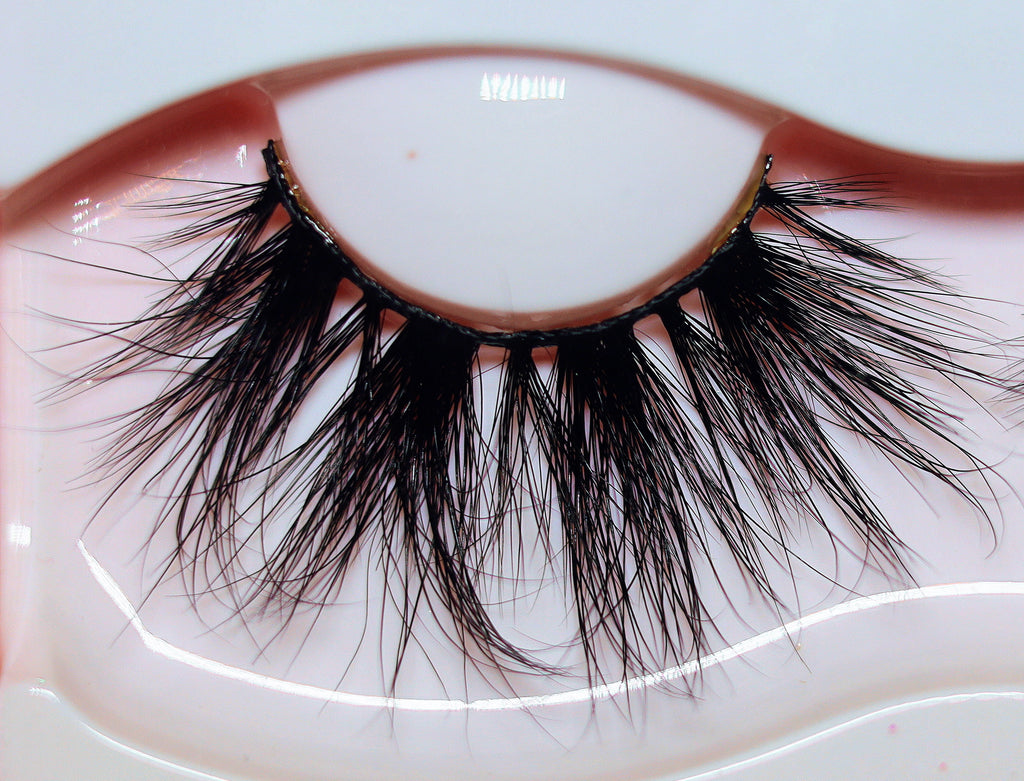 Twilight Tangle strip lash
