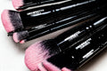 Artisan Alchemy Brush Set